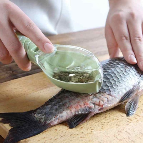 Fish scale remover – Un instrument pentru îndepărtarea solzilor de pește