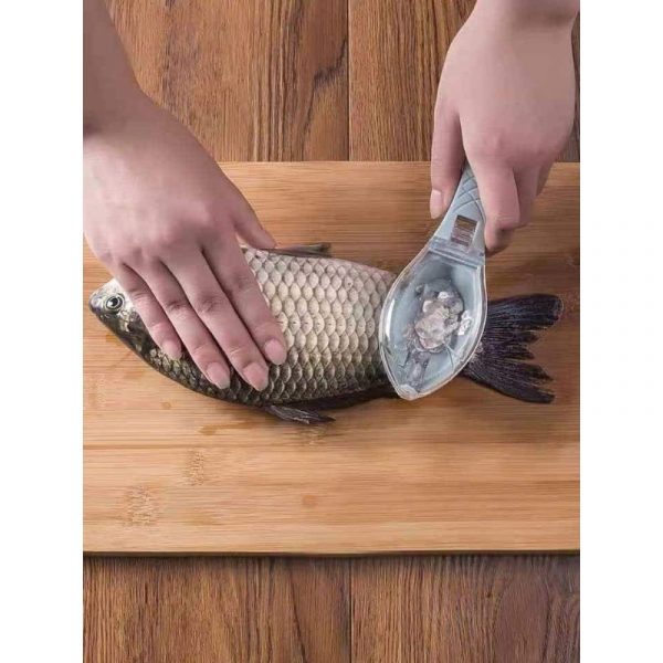 Fish scale remover – Un instrument pentru îndepărtarea solzilor de pește 02