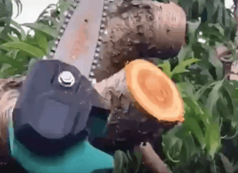 Mini wireless chainsaw – Mini-ferăstrău fără fir slider
