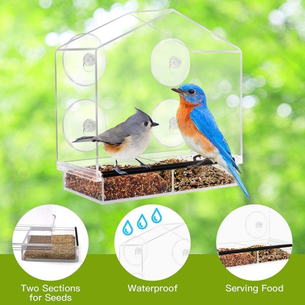 Birdbox – Căsuță transparentă pentru păsări