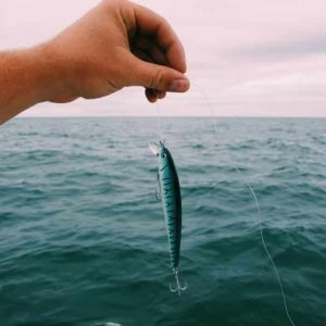 3D Fish Bait – Ochi forma de pește aborda cârlig (1+1 GRATIS) 03