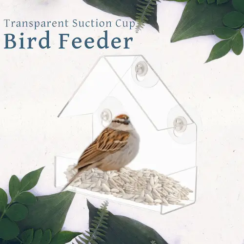 Birdbox – Căsuță transparentă pentru păsări 02